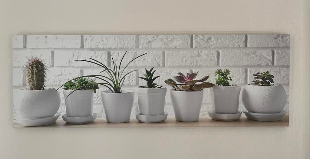 Cadre avec plantes, Moins de 50 cm, Enlèvement, Utilisé, Autres matériaux