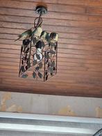 Pyrrhura molinae, Animaux & Accessoires