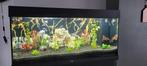 Juwel aquarium 180 liter met toebehoren, Dieren en Toebehoren, Ophalen, Zo goed als nieuw, Leeg aquarium