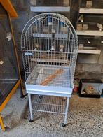 Cage pour calopsite ou perruche, Animaux & Accessoires, Enlèvement