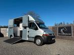 Renault Master PAARDENWAGEN | HORSETRUCK | MTM | PRO SAFETY, Dieren en Toebehoren, Ophalen, Gebruikt, Overige materialen, Overige typen