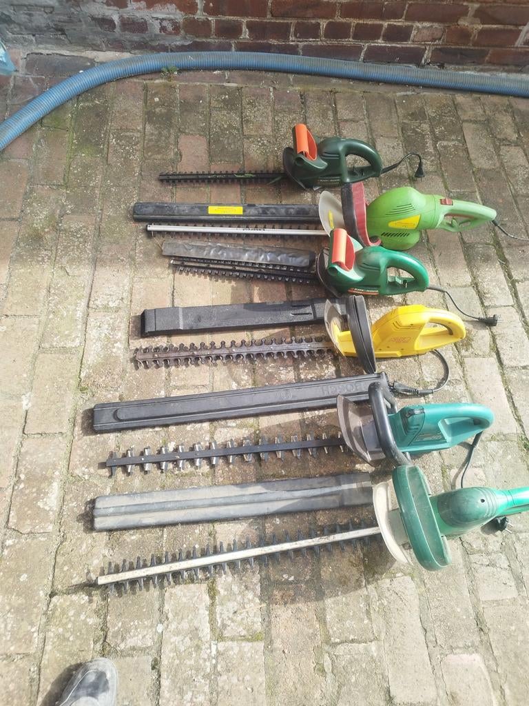 Taille haie 30€/p, Enlèvement, Électrique