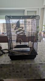 Vogel kooi voor parkieten, Enlèvement ou Envoi