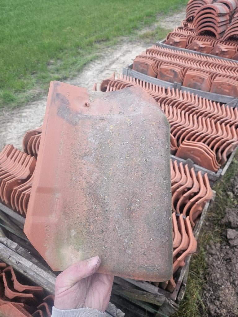 Boomse dakpannen, Doe-het-zelf en Bouw, Dakpannen en Dakbedekking, Ophalen, Gebruikt, Dakpannen