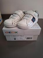 Geox Sneakers: maat 21, Garçon, Enlèvement, Geox, Bottines