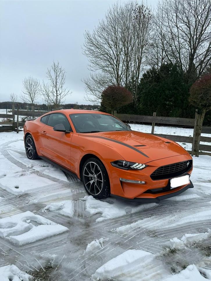Mustang 2.3 ecoboost Etat neuf !, Auto's, Ford, Particulier, Mustang, Lederen bekleding, Benzine, Coupé, 3 deurs, Handgeschakeld