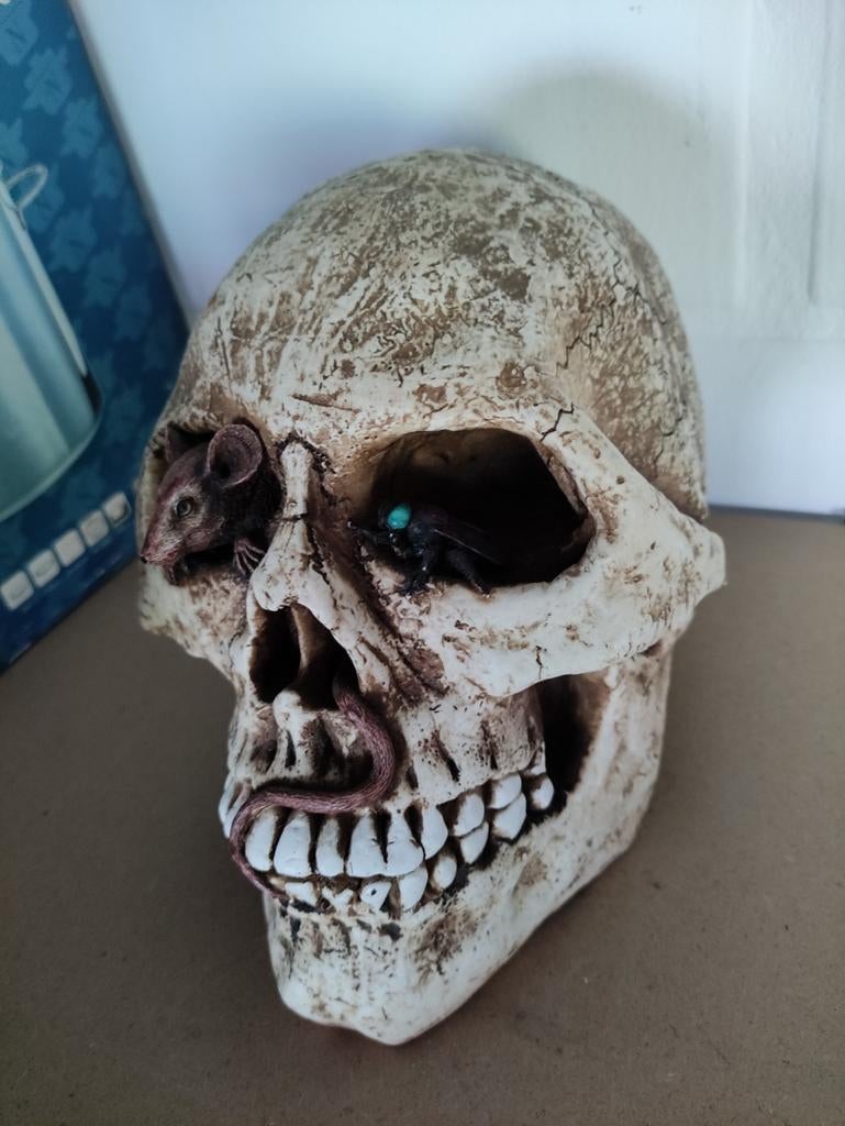 Tirelire Skeleton, Collections, Enlèvement