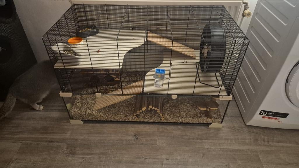 Hamster met zeer ruime kooi en toebehoren, Dieren en Toebehoren, Knaagdieren en Konijnen | Hokken en Kooien, Kooi, Hamster, Ophalen