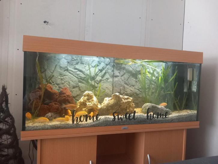 Juwel aquarium 120cm breed met alles erop en eraan, Dieren en Toebehoren, Vissen | Aquaria en Toebehoren, Ophalen