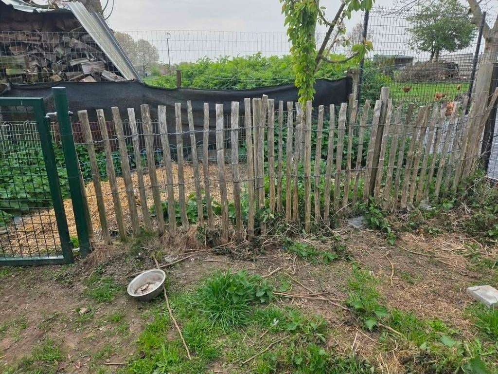 kastanjehek (schapenhek), Tuin en Terras, Tuinhekken en Hekwerk, Zo goed als nieuw, Overige typen, Hout, Ophalen