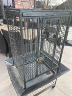 Vogel kooi, Enlèvement, Comme neuf