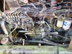CUMMINS 6T-830 MOTOR, Gebruikt