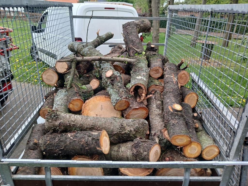 Vers kersen hout brand of draai, Jardin & Terrasse, Bois de chauffage, Moins de 3 m³, Enlèvement, Autres essences de bois, Bûches