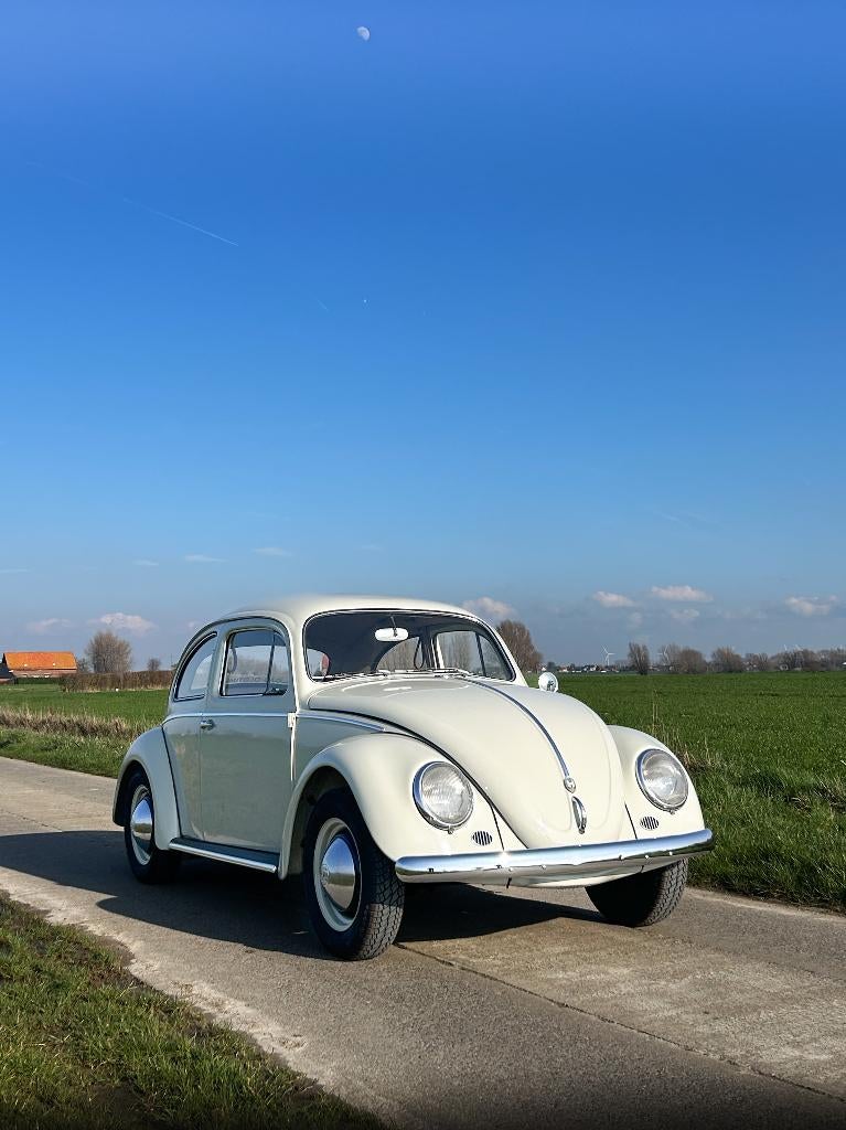Vw kever 1200 bwj 1957, perfecte staat , gekeurd + garantie, 4 zetels, 4 cilinders, Wit, Handgeschakeld