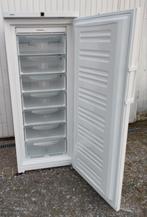 Grote diepvries van het merk LIEBHERR in goede staat., Elektronische apparatuur, Vriezers en Diepvrieskisten, Gebruikt, 160 cm of meer