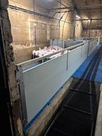 Voorfronten voor biggen [976], Dieren en Toebehoren