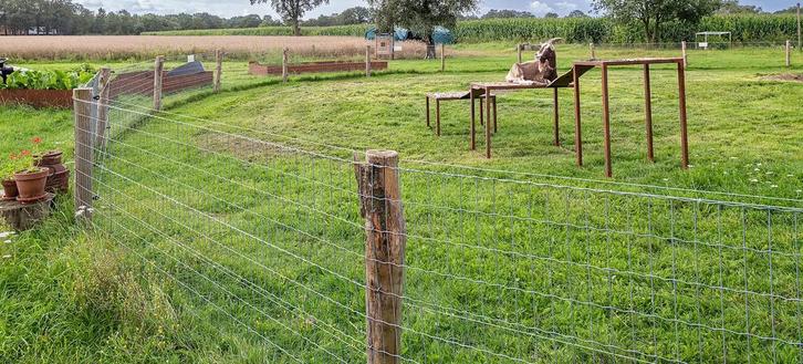 Gezocht weide te huur regio Hulshout/Heultje, Animaux & Accessoires, Box & Pâturages, Mise à l'étable, Pâturage