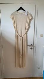 Jumpsuit Mango, maat XL, beige, nieuw !, Mango, Ophalen of Verzenden, Nieuw, Beige