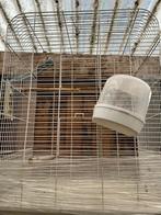 Grote vogelkooi, Ophalen, Zo goed als nieuw, Vogelkooi