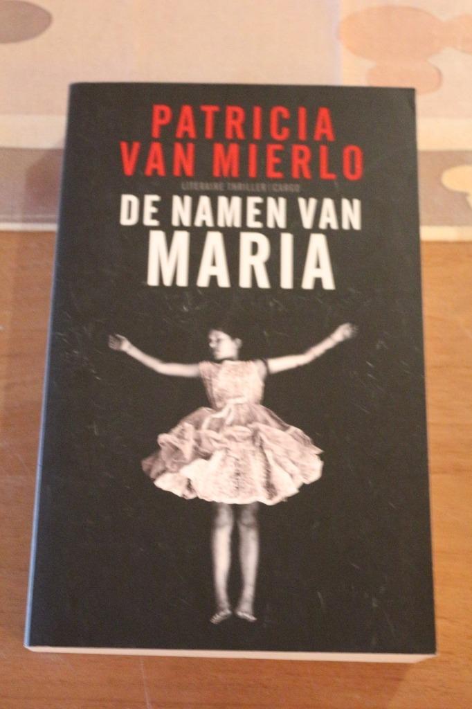 *De namen van Maria - Patricia Van Mierlo, Livres, Thrillers, Comme neuf, Pays-Bas, Enlèvement ou Envoi