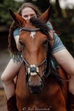 Weide met (schuil)stal gezocht., Dieren en Toebehoren, Stalling en Weidegang