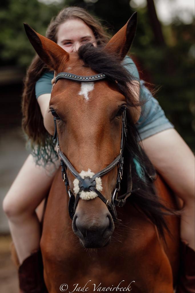 Weide met (schuil)stal gezocht., Dieren en Toebehoren, Stalling en Weidegang