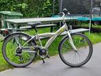 te koop: jongensfiets maat 24, Fietsen en Brommers, Ophalen, Versnellingen, Golden Lion, Gebruikt