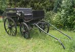 Schitterende wagonnette te koop, Dieren en Toebehoren, Rijtuigen en Koetsen, Zo goed als nieuw, Wagonette