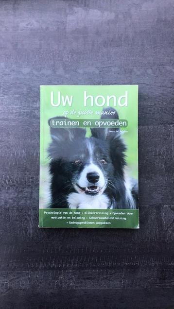 Uw hond op de juiste manier trainen en opvoeden. beschikbaar voor biedingen