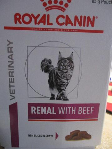 katteneten beschikbaar voor biedingen