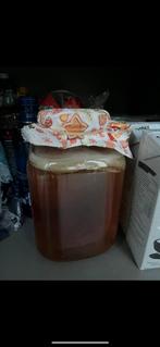 Scoby voor kombucha, Ophalen