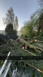 Gratis hout, Tuin en Terras, Brandhout, Ophalen