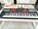 Korg pa 700 professionele aranger of ruilen met Nautilus, Enlèvement, Korg