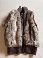 Body, Vêtements | Femmes, Blousons sans Manches, Enlèvement ou Envoi, Comme neuf