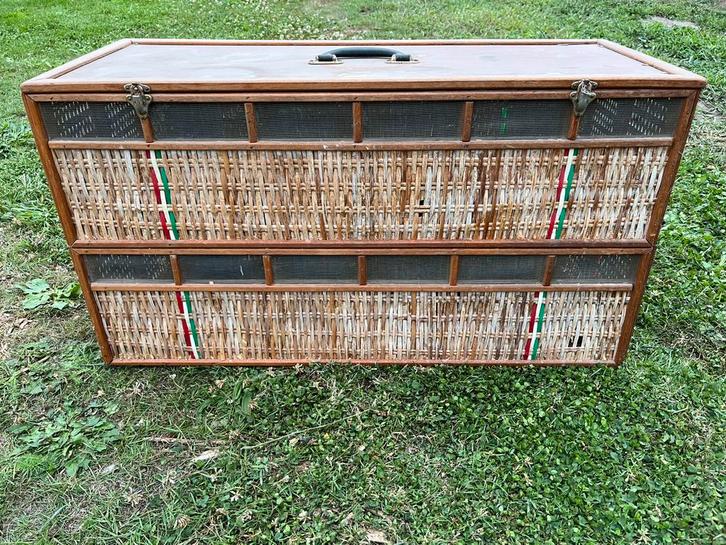 Materialen Duiven, Dieren en Toebehoren, Vogels | Duiven