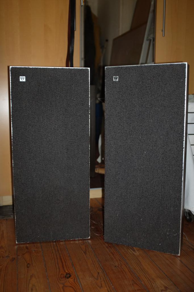 Haut-Parleur ACEC, Audio, Tv en Foto, Luidsprekerboxen, Gebruikt, Center speaker, Minder dan 60 watt, Overige merken, Ophalen