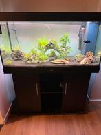 Juwel aquarium 120x66x50, Enlèvement, Utilisé