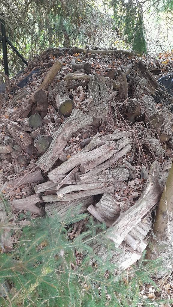 Droog brandhout., Tuin en Terras, Brandhout, Blokken, Eikenhout, 6 m³ of meer, Ophalen