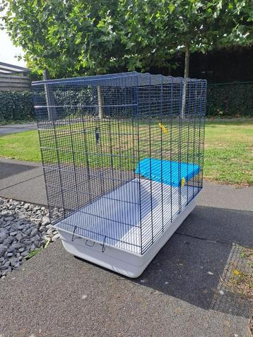 knaagdier beschikbaar voor biedingen