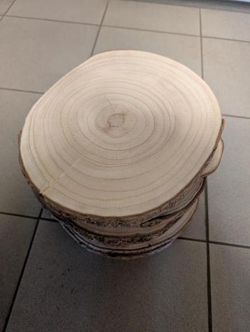 Boomschijf met schors dia +-30 cm beschikbaar voor biedingen