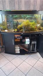 Kompleet aquarium tekoop, Dieren en Toebehoren, Vissen | Aquaria en Toebehoren, Ophalen, Gebruikt, Gevuld zoetwateraquarium