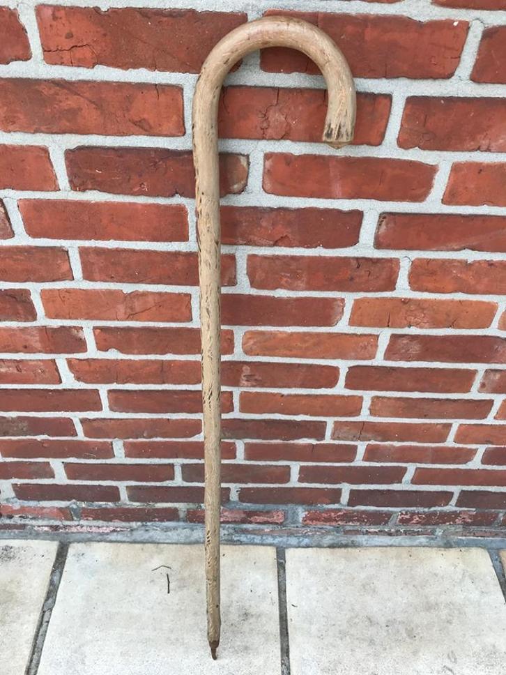 Houten wandelstok met edelweiss-gravure, Antiek en Kunst, Curiosa en Brocante, Ophalen of Verzenden