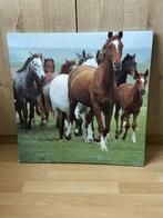 paarden schilderij, Antiek en Kunst, Kunst | Schilderijen | Klassiek, Ophalen