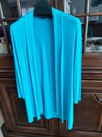 Melvin turquoise  vest maat 38/ 2, Kleding | Dames, Truien en Vesten, Maat 38/40 (M), Overige kleuren, Melvin, Ophalen of Verzenden