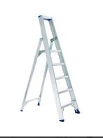 Echelle 5 marches, Bricolage & Construction, Enlèvement