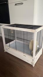 Gloednieuw hamsterkooi, Dieren en Toebehoren, Ophalen, Nieuw, Kooi, Hamster