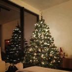 Kerstboom, Diversen, Kerst, Ophalen