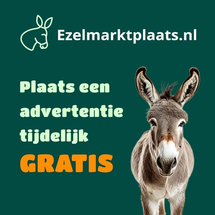 Ezel (ver)kopen?, Dieren en Toebehoren, Overige Dieren, Meerdere dieren, Oktober