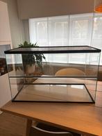 Hamster terrarium, Dieren en Toebehoren, Ophalen, Hamster