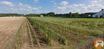 Grond te koop in Lede beschikbaar voor biedingen